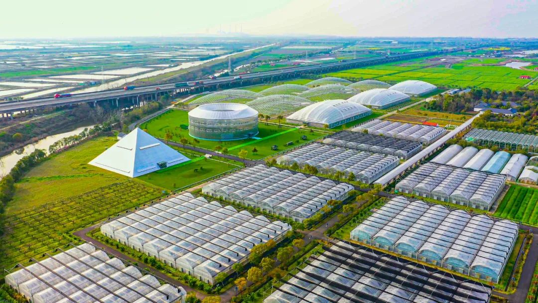 浙江雾耕农业科技有限公司打造的"未来农场".叶敏 摄