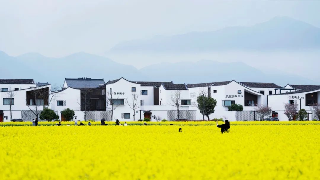 浙江省杭州市富阳区东梓关村的杭派民居.张红 摄