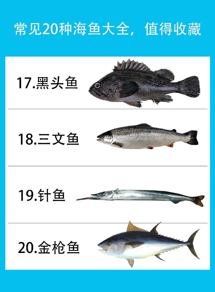 常见的鱼类科普,马住涨知识!