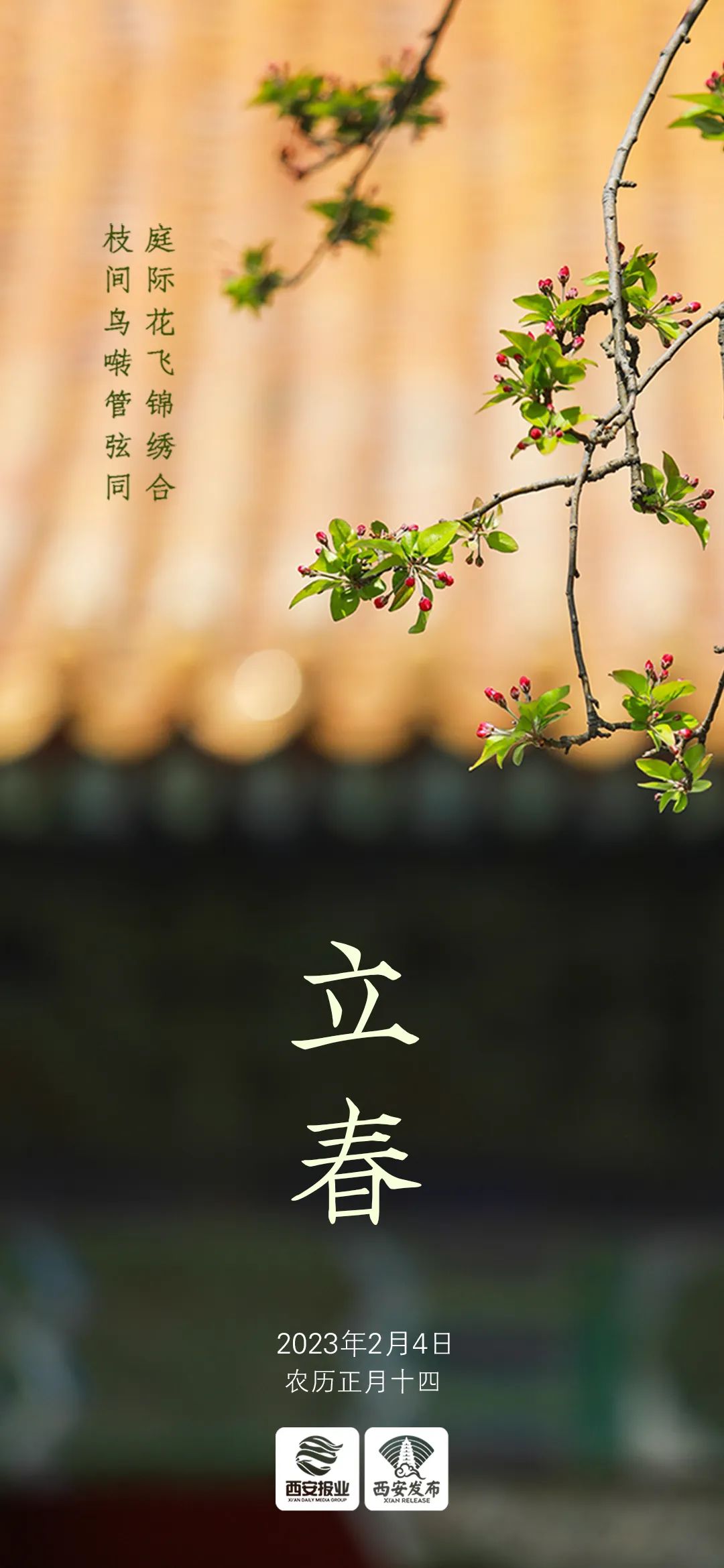 一部直面女性困境的现实主义力作