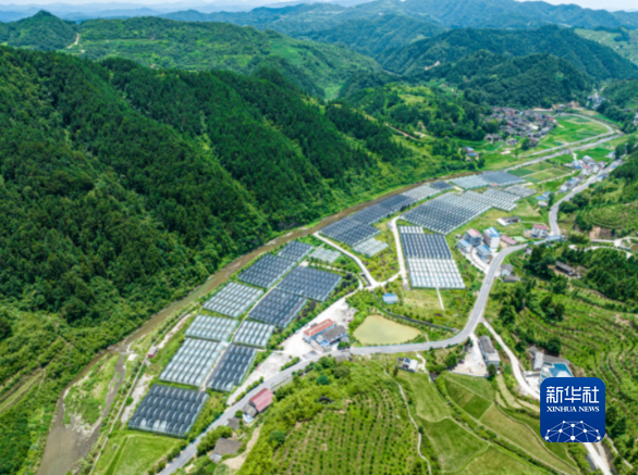 　　这是无人机航拍的贵州省铜仁市万山区黄道侗族乡蔬菜基地。（万山区融媒体中心供图）