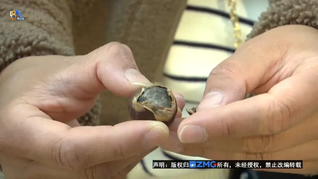 发霉?长绿毛?还冒烟?|板栗_新浪财经_新浪网