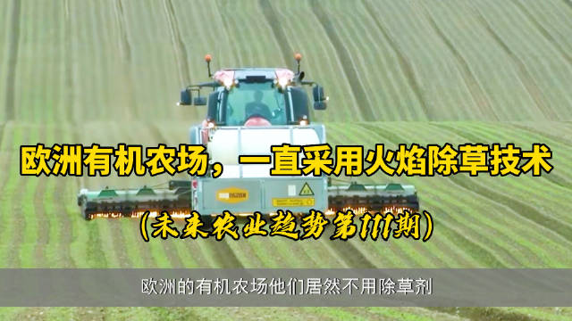 欧洲的有机农场,居然一直采用高温火焰除草技术_新浪新闻