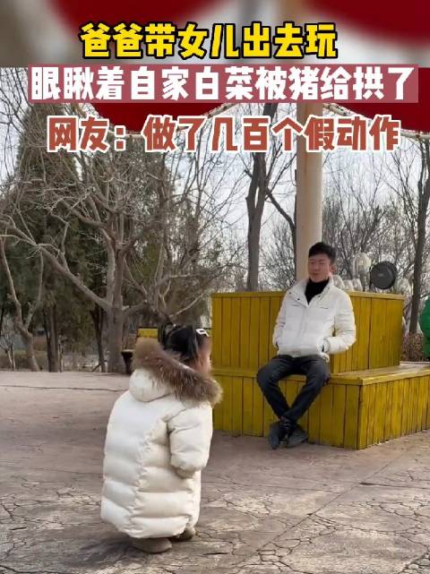 笑死我了，眼睁睁的看着自己养的小白菜被猪拱了|猪_新浪新闻