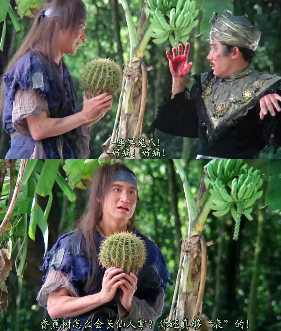 搭配梁朝伟最好的只能是张学友