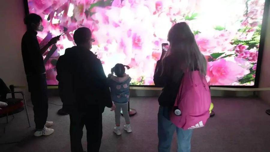 快来看（艺术家说森林是什么）艺术家说唱，(图2)