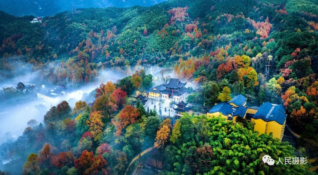 干货满满（春天的脚步近了100字）作文春天的脚步400，(图6)