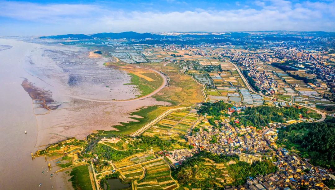 闽江口生态好 摄影:王金平