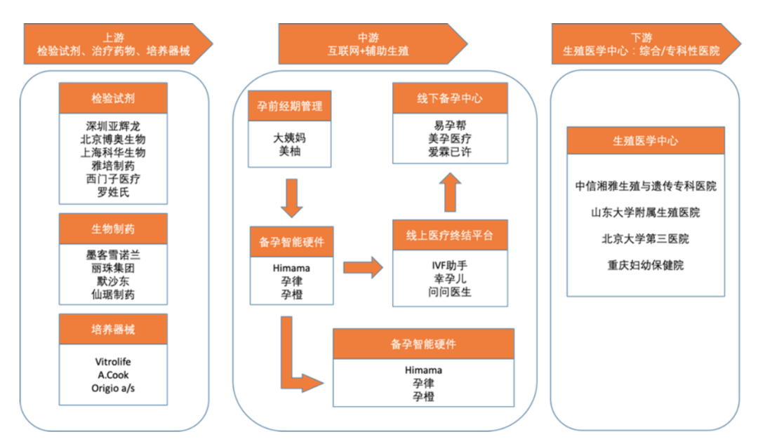 辅助生殖产业链（图片来源：智银医药）