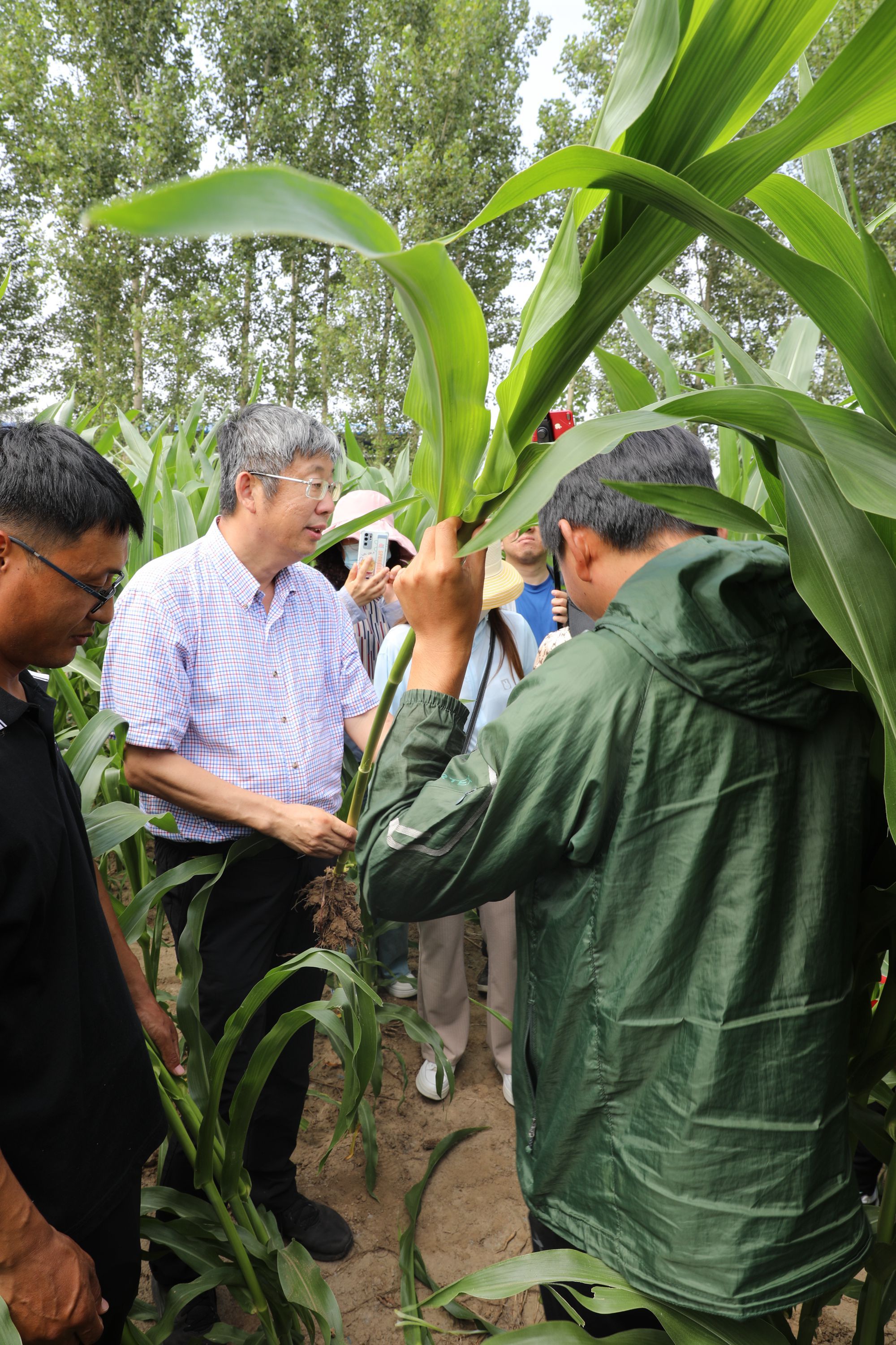 开鲁seo视频最新版本更新内容