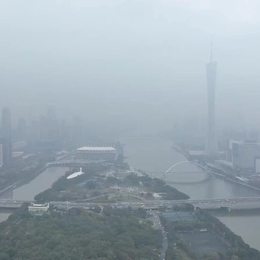 能见度最低160米!雨雾天气将持续到→|琼州海峡|广州市|广东省_新浪新闻