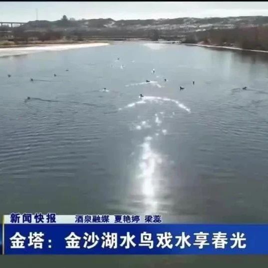 专题报道：酒泉小巷子100块爱情2025年酒泉小巷子100块爱情价格与现状