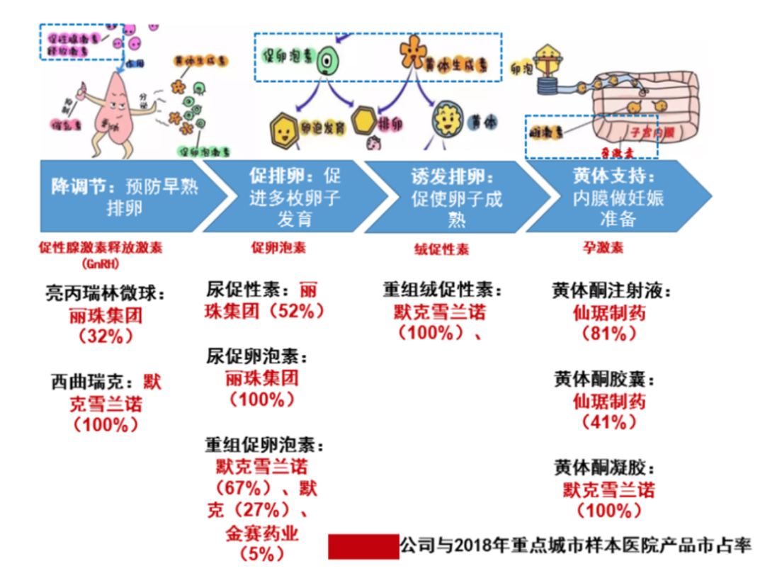 辅助生殖用药流程与市场格局（图片来源：智银医药）