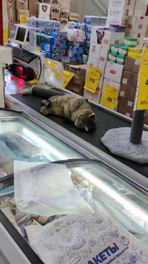 购买化妆品后发现非卖品是什么意思 为什么有些化妆品标有非卖品