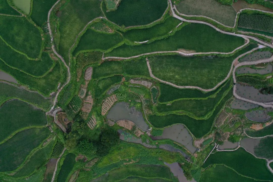 农业文化遗产:守望智慧之光|守望_新浪财经_新浪网