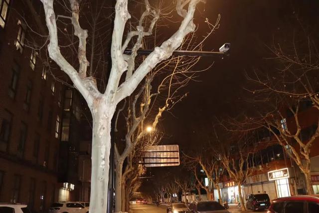 速看（上海交警不按规定使用灯光）闪光灯照射眼睛，(图1)