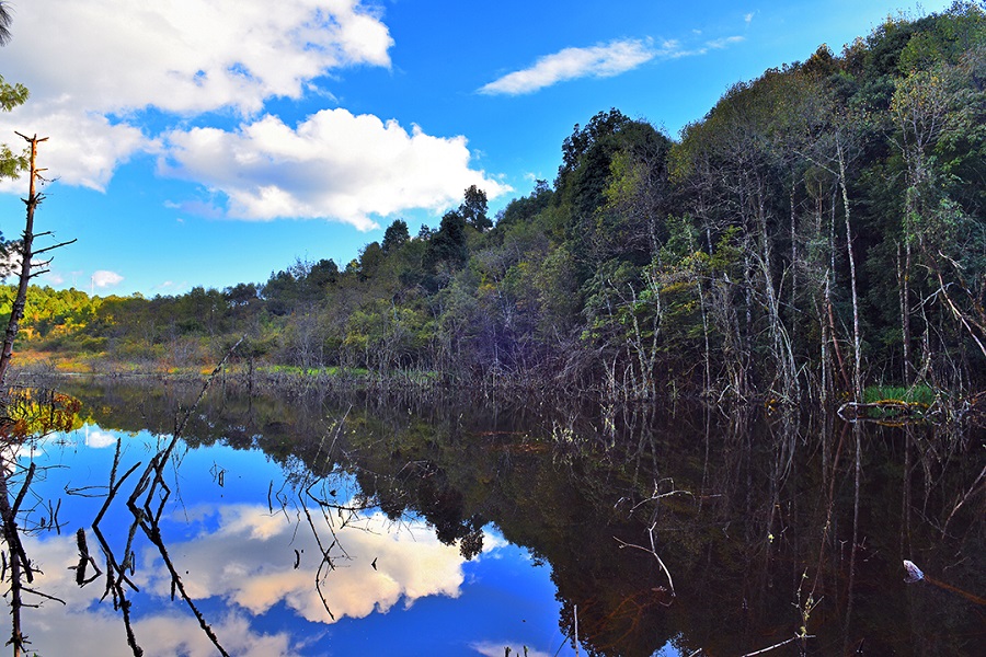 云南昌宁:千亩高山湿地筑牢天堂山生态屏障
