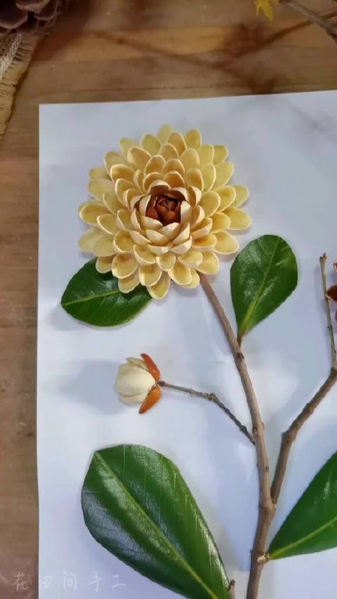 开心果壳手工吃完的果壳别扔废物利用做手工花吧