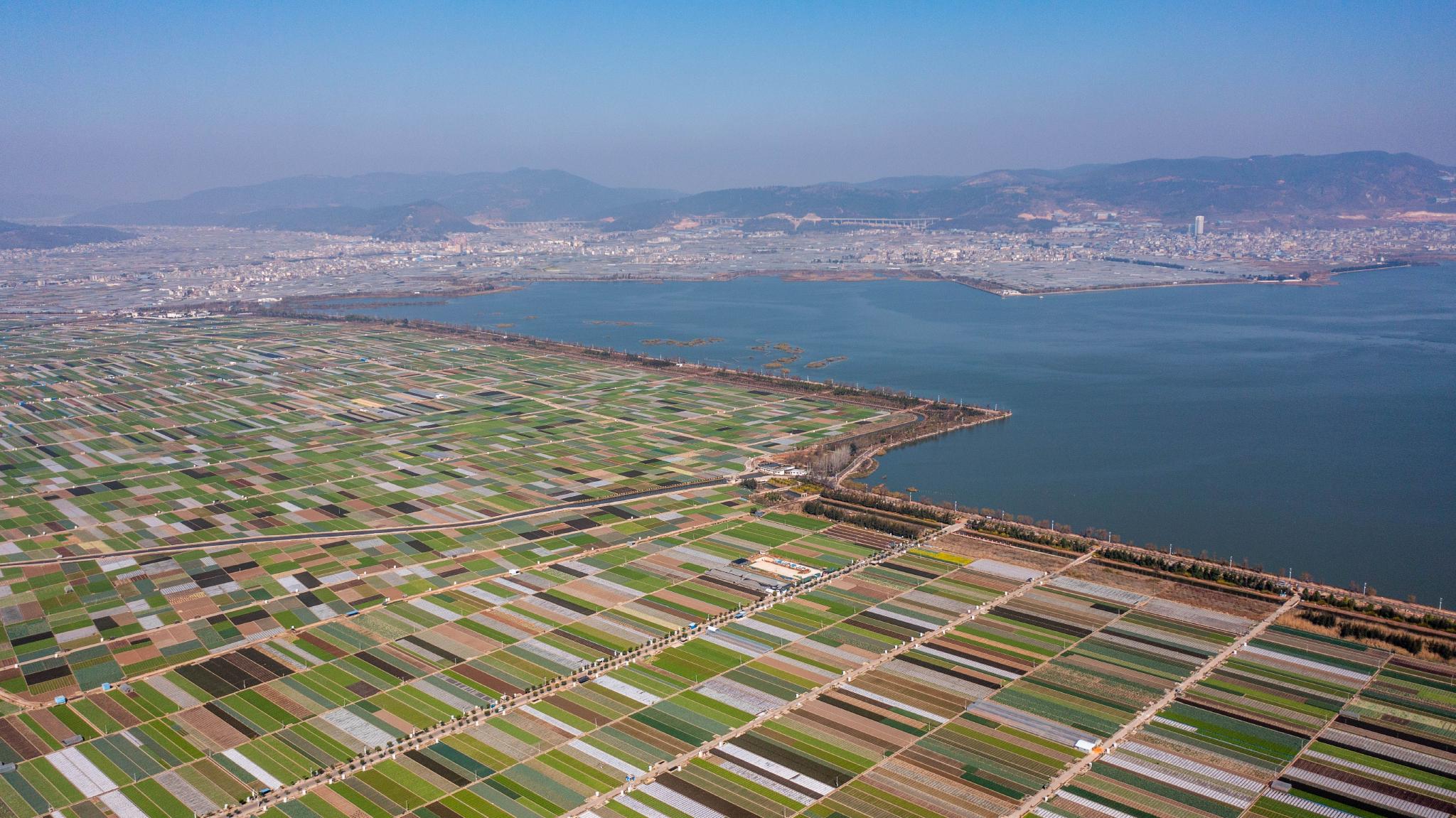 这是云南省玉溪市通海县的田园风光(无人机照片,2月9日摄).