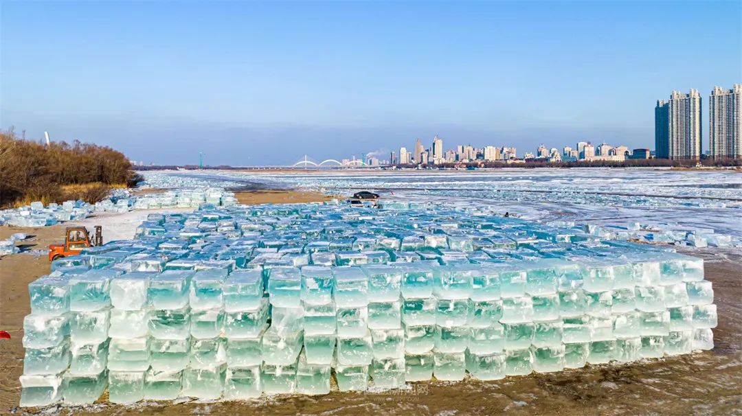 来源:哈尔滨新闻网