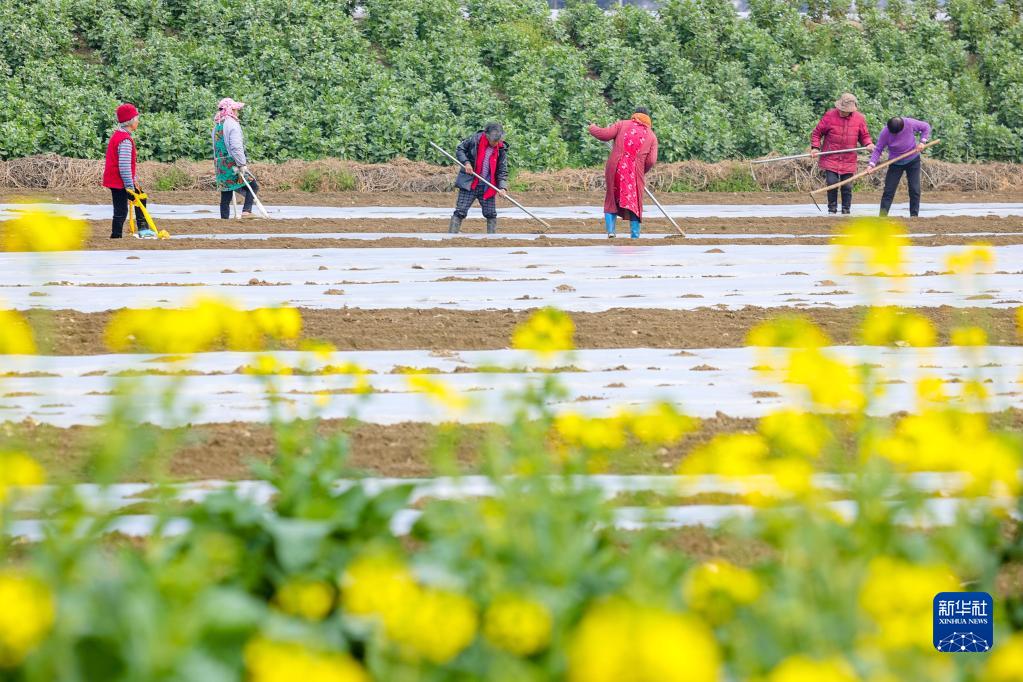 五月丁香综合网小说网