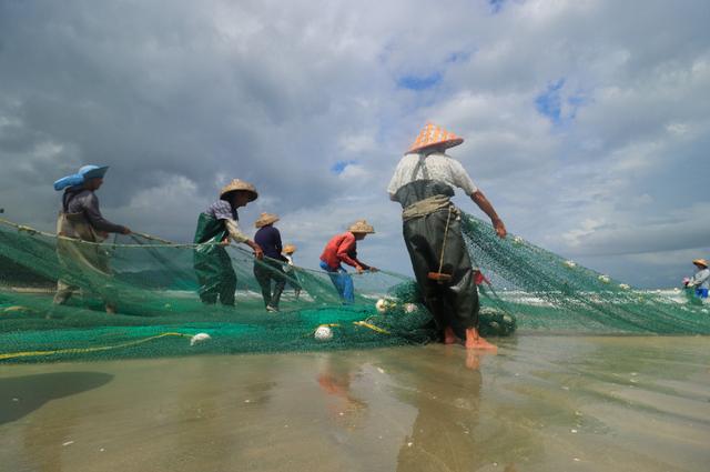 图为当地渔民出海后正在收网