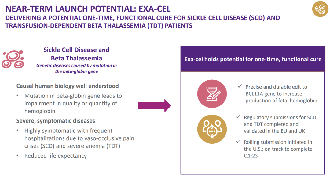 ▲图丨exa-cel 项目计划（来源：Vertex Pharmaceuticals）