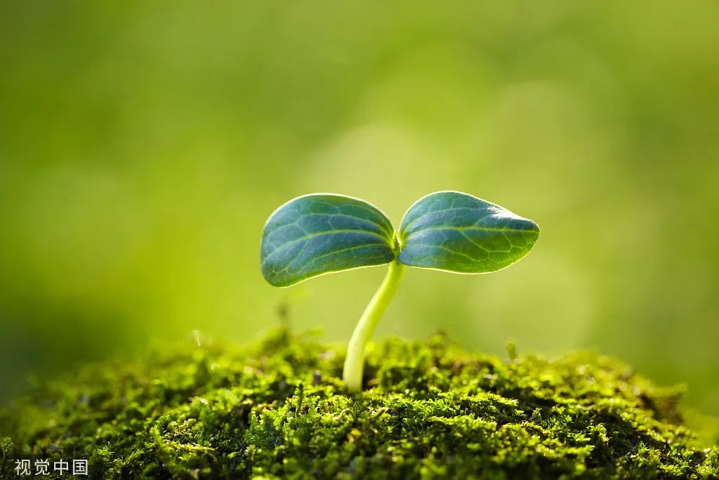 这个答案有点意外但很有道理