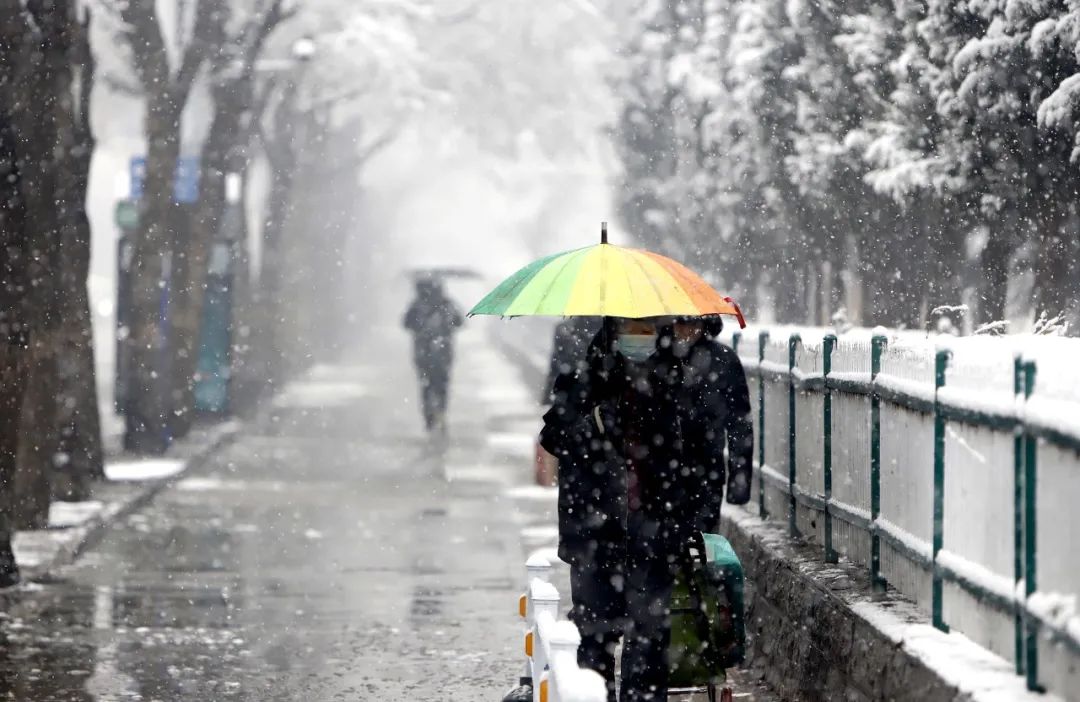 9日，石家庄迎来立春之后首场降雪，市民在雪中出行。图片来源：视觉中国