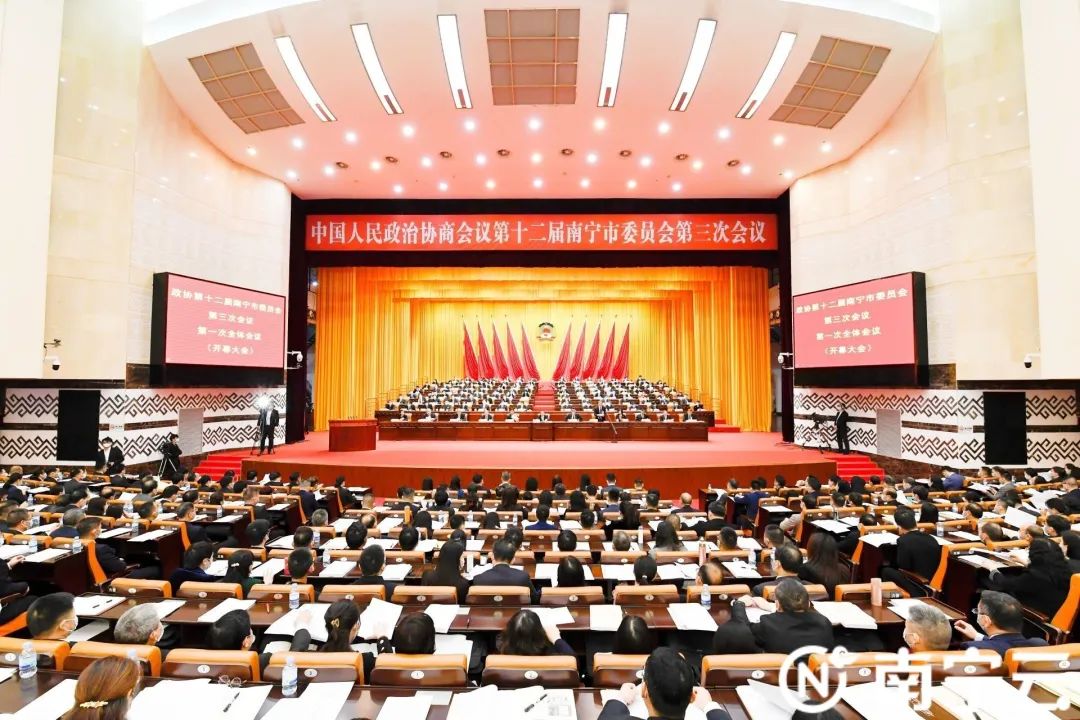 南宁政协门户网站(南宁政协门户网站查询)