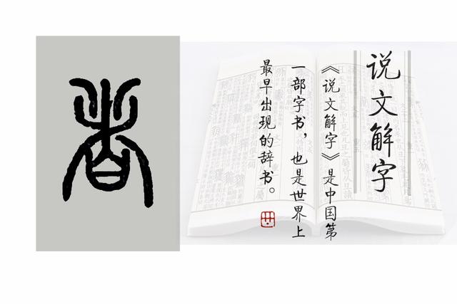 《说文解字》第677课:“者”字,原来是我们经常看到的一种树