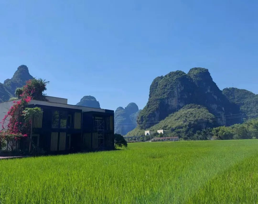 沃野升腾新“硒”望！崇左富硒农业按下“加速键” →