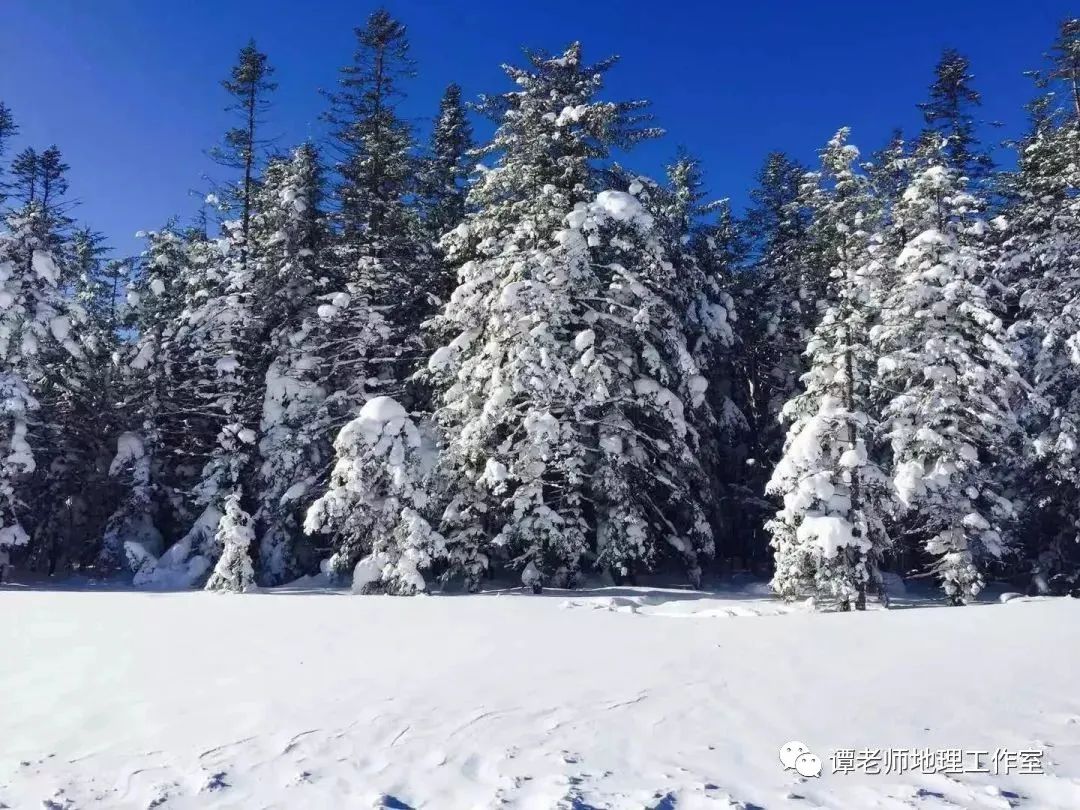 从气象学上来看雪的定义,从雪到雪花、雪线,关于雪的地理知识都给你总结全了!!!积雪对地理环境的影响