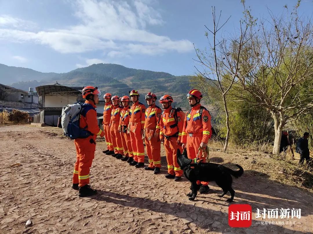 救援队伍与搜救犬