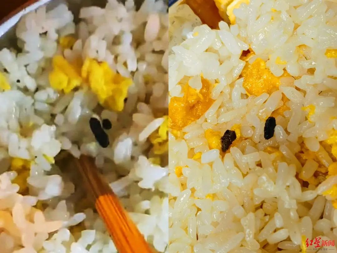 顾客称饭里出现"老鼠屎"(左) 老板重新演示炒焦的饭粒(右)