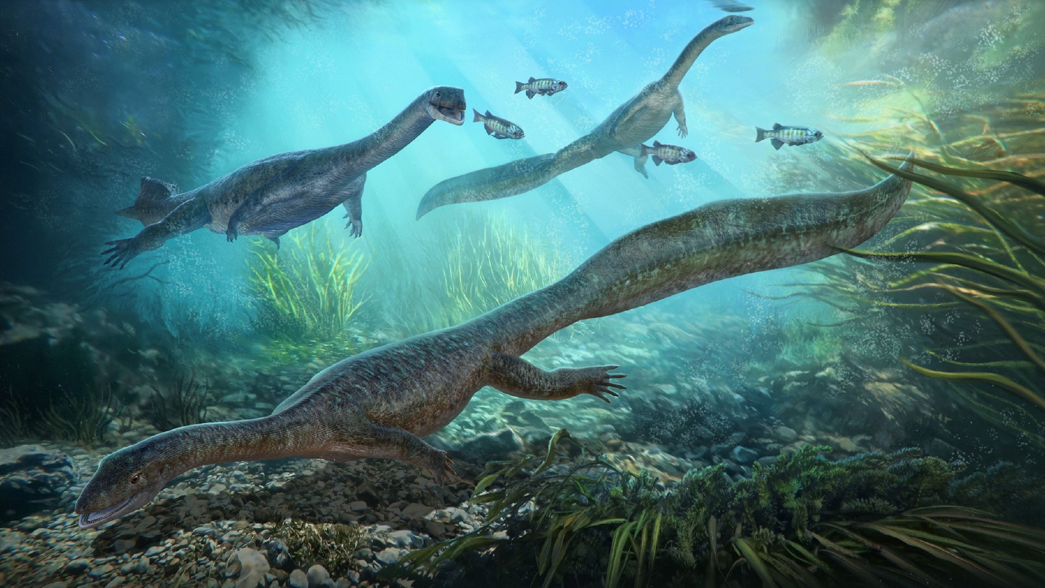 凌源潜龙复原图.绘图/ cheung chung tat