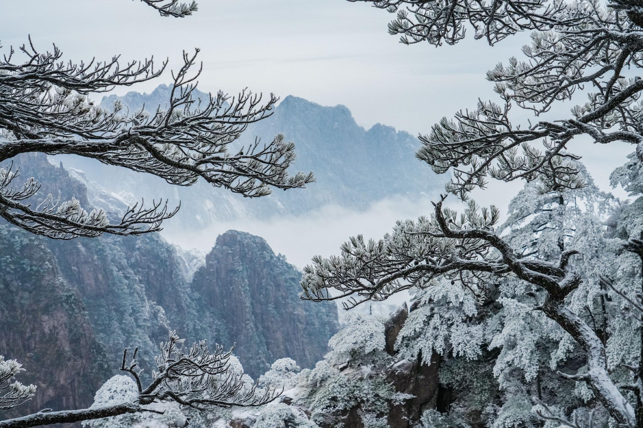 安徽黄山初春现雾凇美景