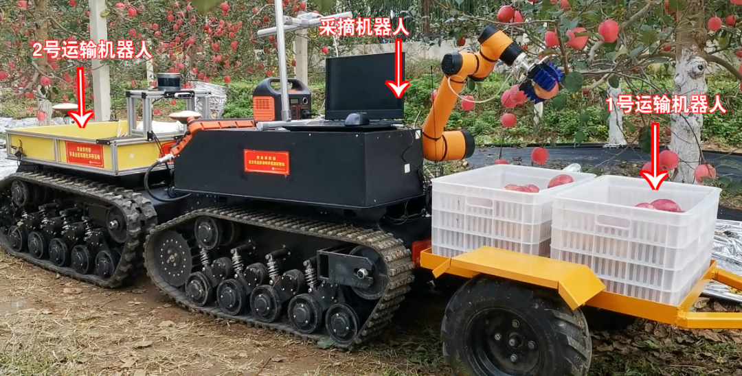 chatgpt火出圈,苹果采摘机器人咋样?