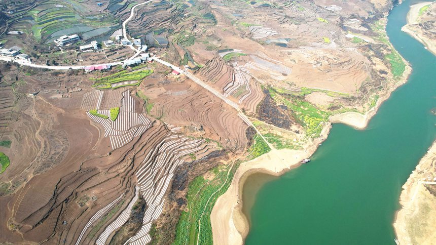 贵州大方:早熟玉米种植忙 田间地头春潮涌|贵州省|航拍_新浪新闻