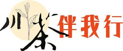 采摘老鷹茶。黃剛 攝