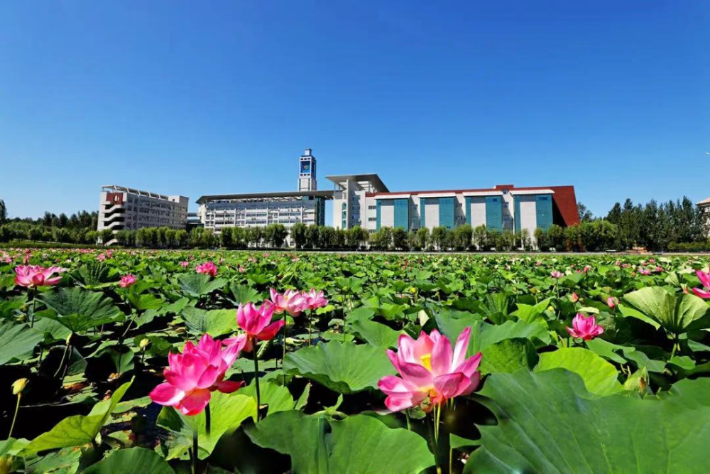 天空之眼看吉林丨把论文写在辽阔黑土地上吉林农业大学的使命与情怀