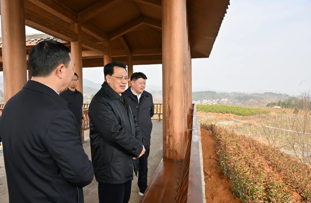 袁家军在黔江酉阳秀山调研|市委书记_新浪财经_新浪网