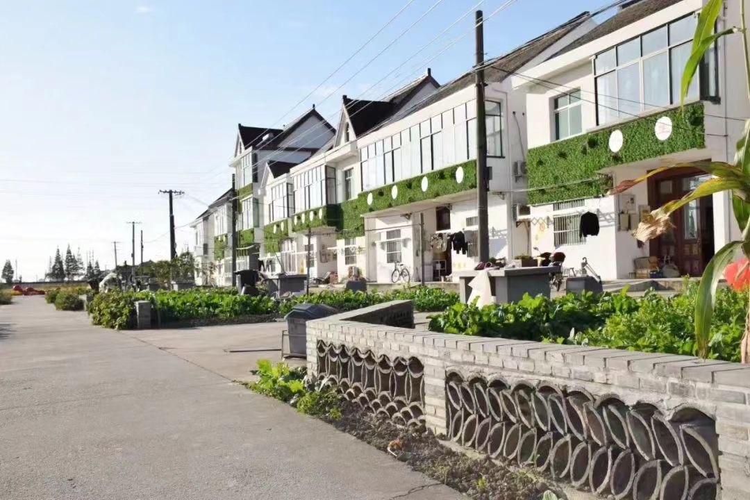 创立水稻品牌改造康养套房上海金山这个村如何出圈
