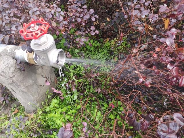上游帮忙花台里的水管不断滴水这是咋了