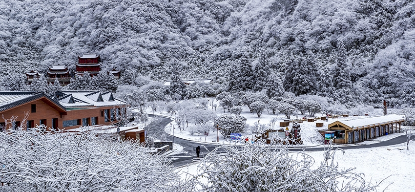 金佛山春雪景美如画|金佛山|重庆市|南川区金佛山景区_新浪新闻