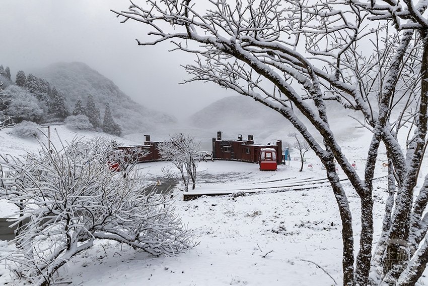 金佛山春雪景美如画|金佛山|重庆市|南川区金佛山景区_新浪新闻