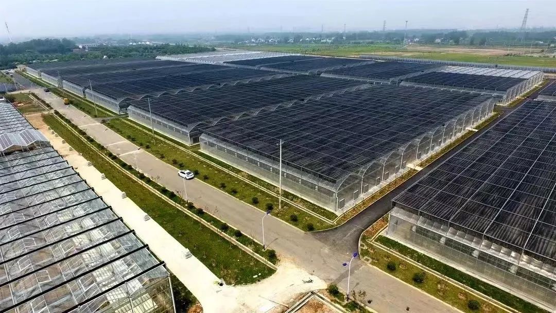 不负春光,忙起来了!|南京市_新浪财经_新浪网