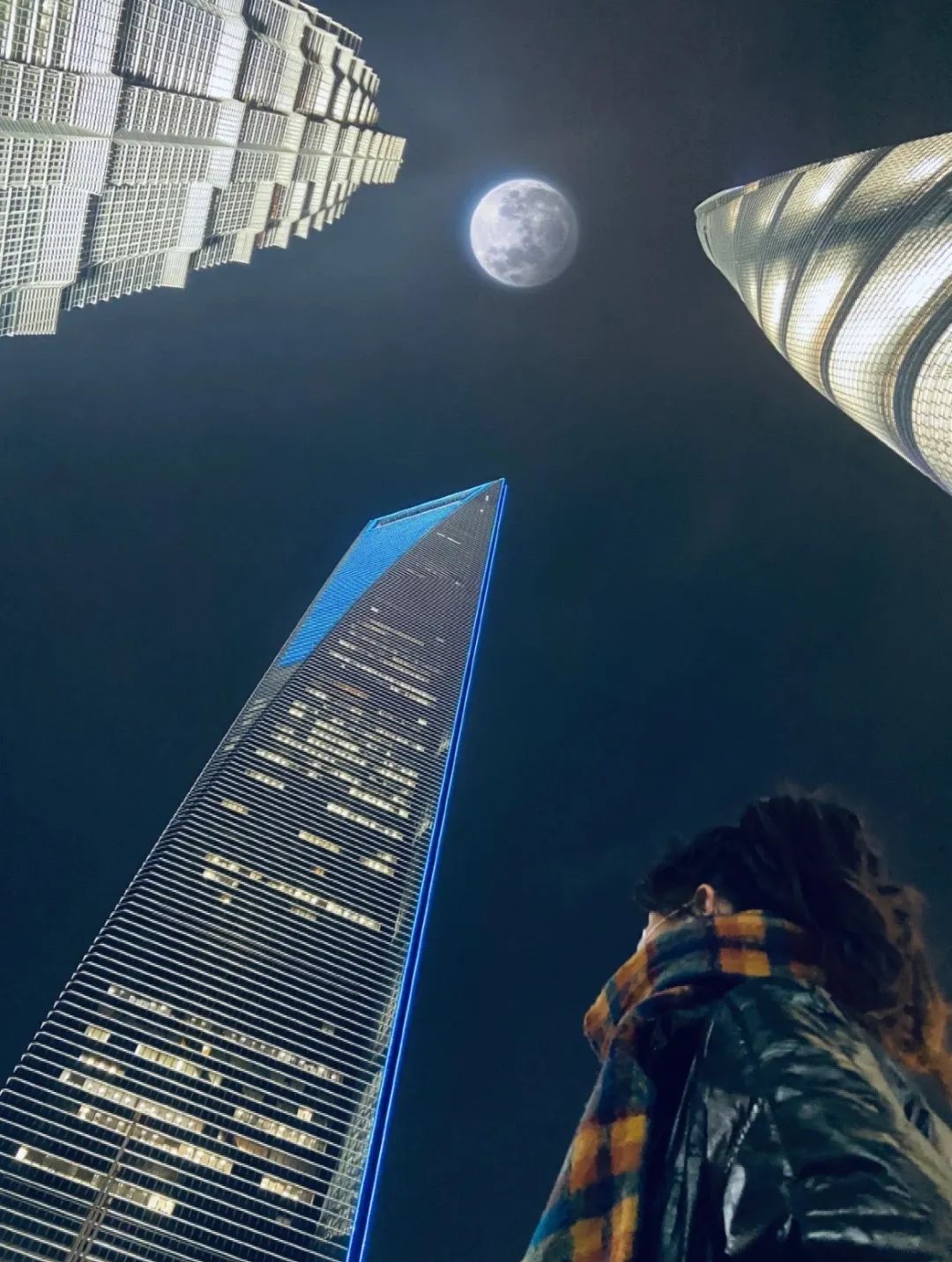 300万人围观的上海网红郁金香,是场彻头彻尾的骗局|上海市_新浪财经