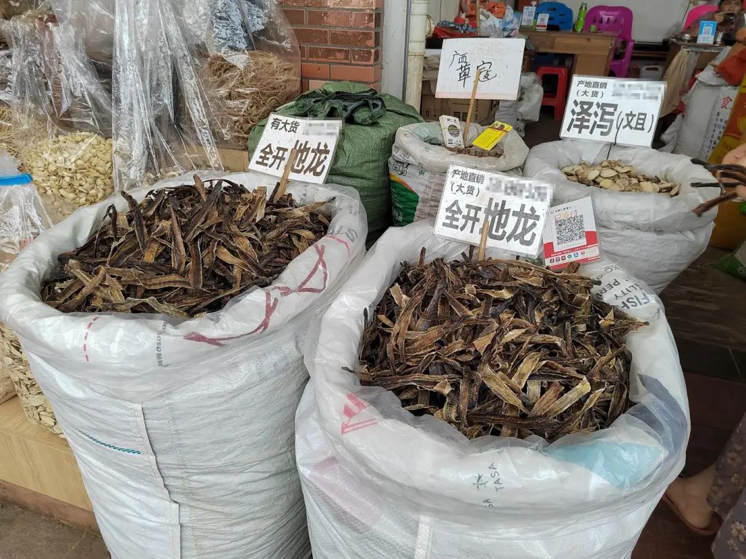 2022年7月,玉林中药港售卖的地龙