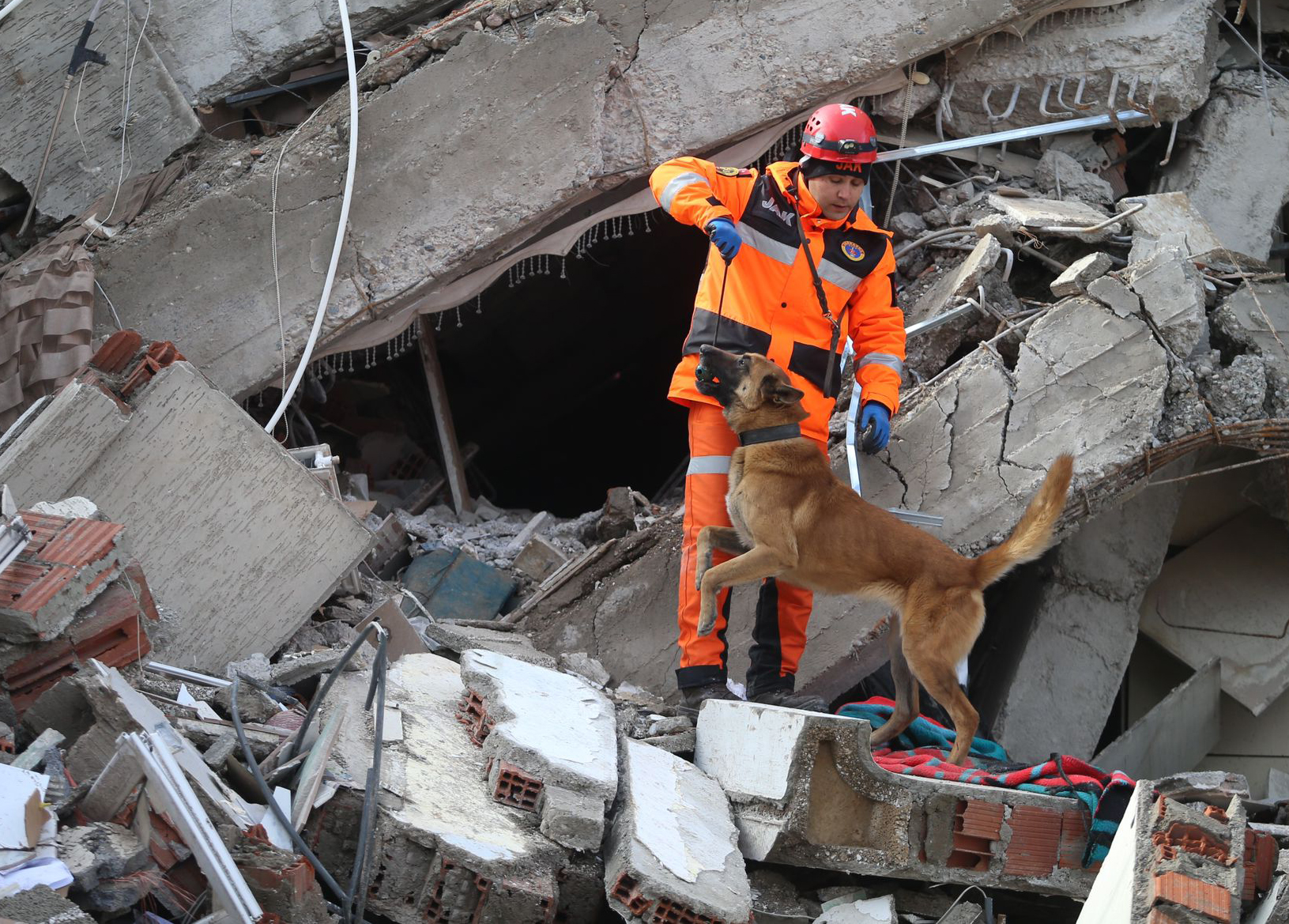 土耳其阿达纳,搜救工作结束后,疲惫的救援人员和搜救犬躺在地上休整